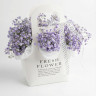 Маленькая леди